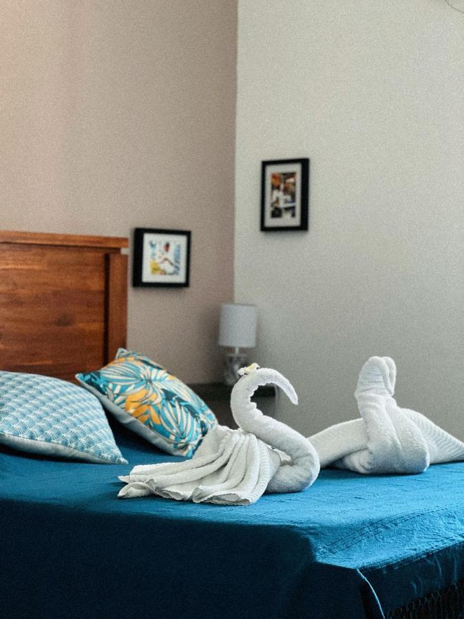 Villa Kazabona Saint-Pierre Centre - Chambres D'Hote Eksteriør billede
